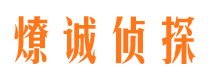 南召市调查公司